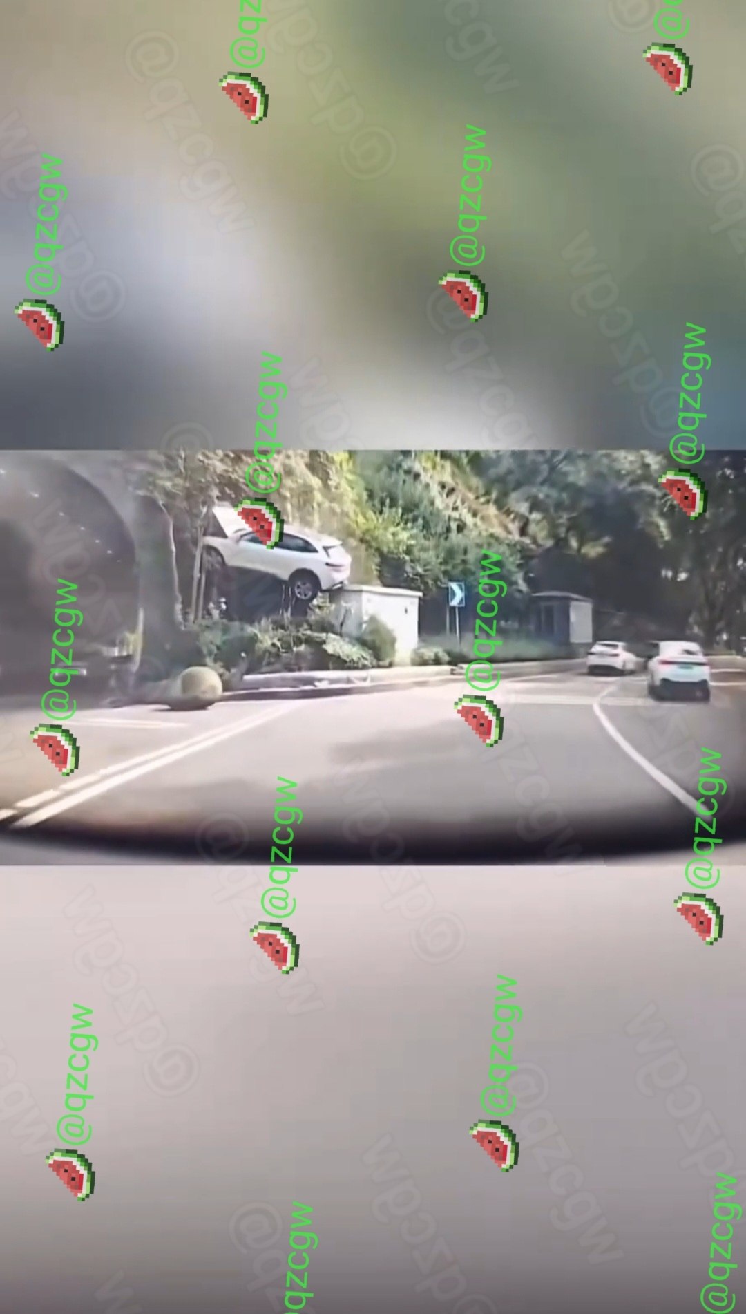 重庆一辆白色新能源SUV失控冲出路面斜挂在绿植树丛中