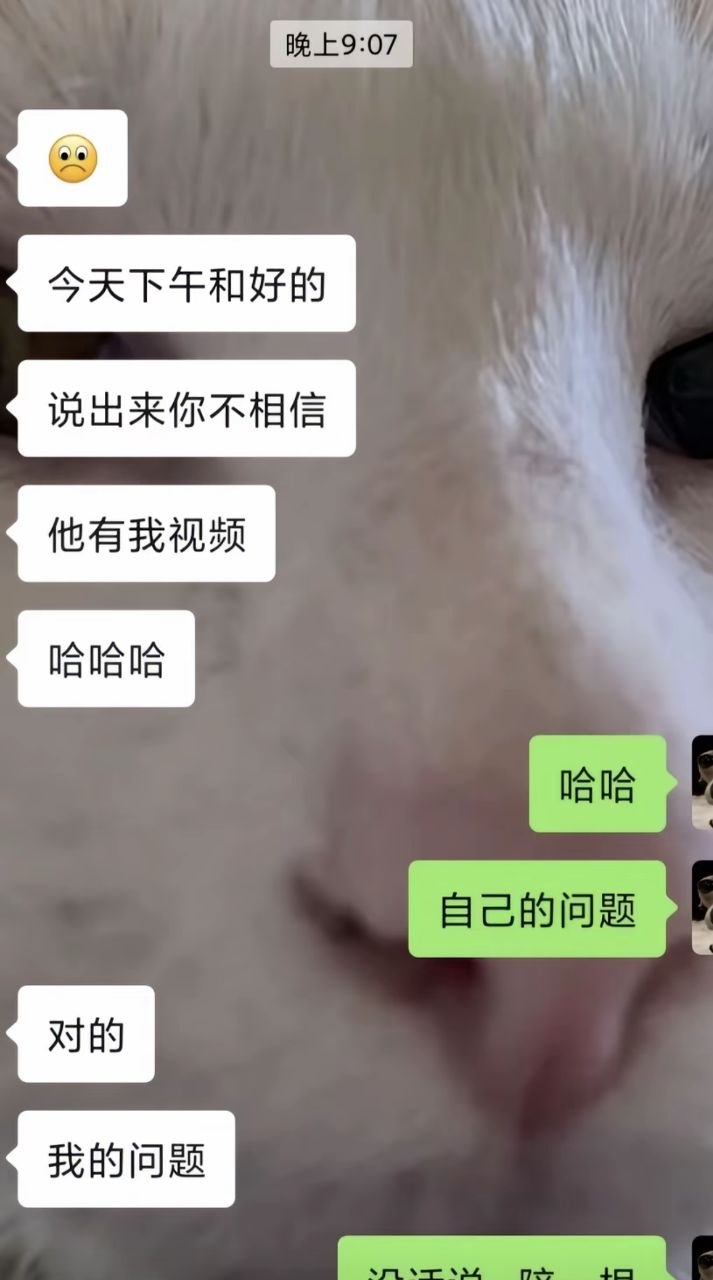 海归高管伪装精英人设两年诱骗三百余名女性偷拍牟利获刑十一年