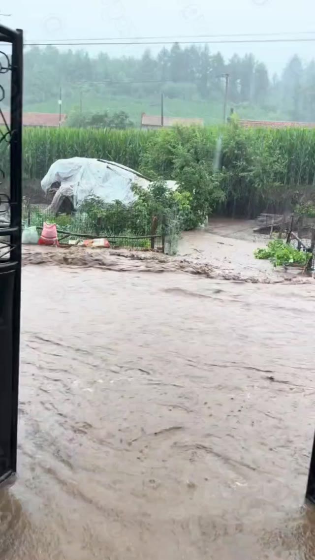 沈阳遭遇百年一遇特大暴雨导致城区化作河流市民在积水中甩竿钓鱼