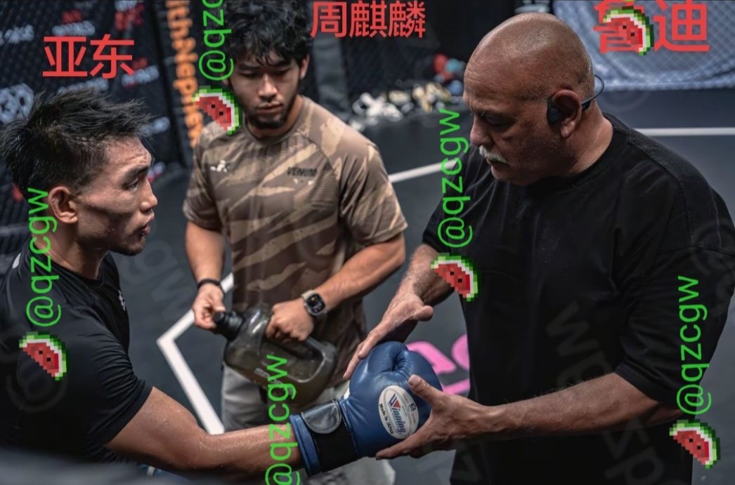 宋亚东主场硬碰乌马尔，UFC上海站巅峰对决争夺冠军挑战权