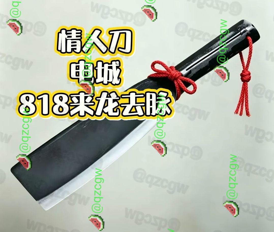 广东茂名电白男子因彩礼纠纷及妻子出轨当街持刀残忍杀害妻子
