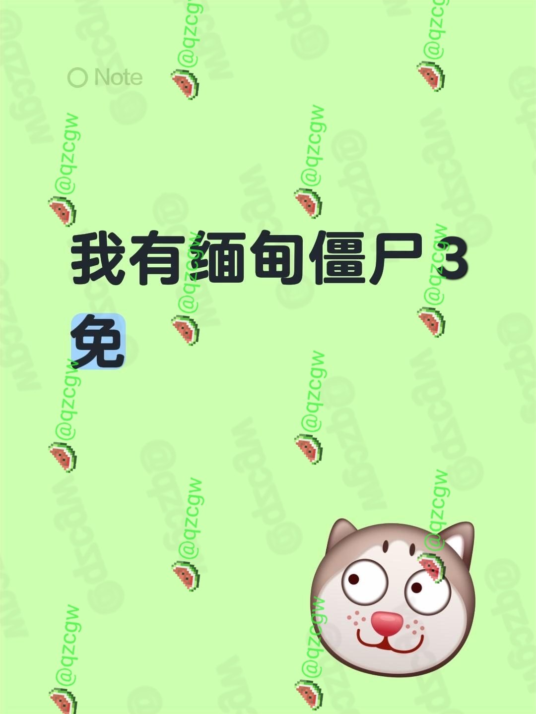身着鲜艳民族服饰的女子被绑在担架上穿行田间疑似缅甸女僵尸现身