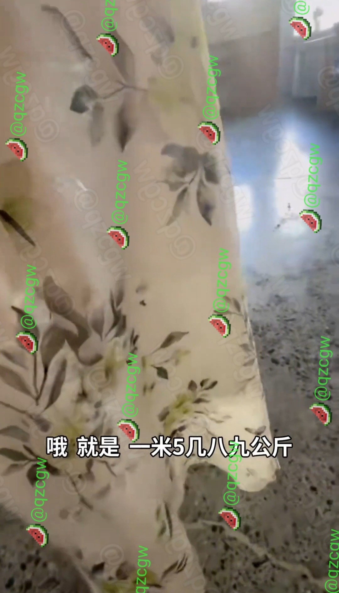 31岁无业肥胖女子怒怼婚介所质疑交费规则遭红娘当众羞辱