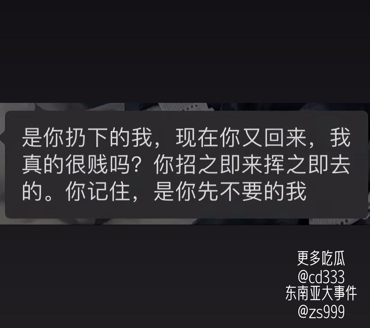 职场精英伪装身份潜入非法偷拍产业链并因传播淫秽视频被警方查获