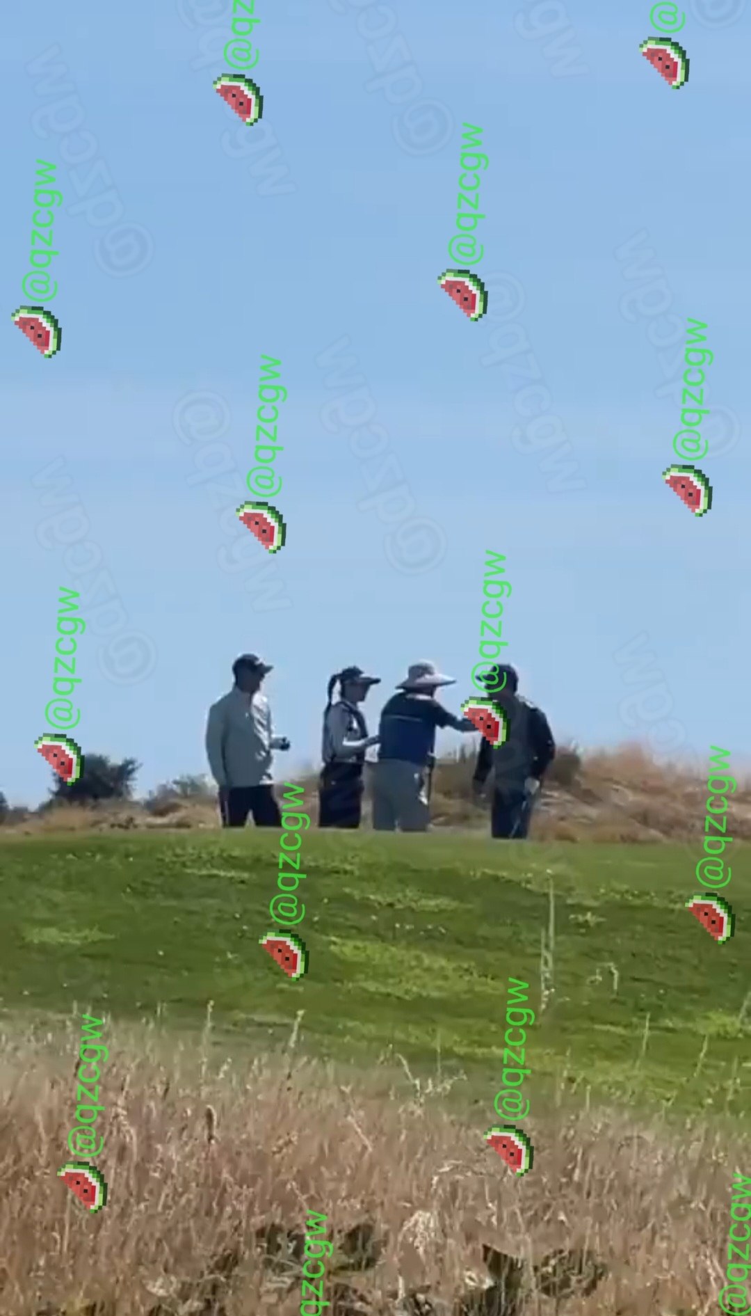 加拿大高尔夫球场发生激烈冲突退休厅级干部当众辱骂部级干部