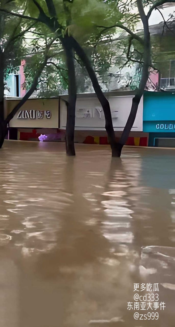 台风紫檀引发暴雨导致广西宁明县城遭遇严重洪涝多地积水深达四米