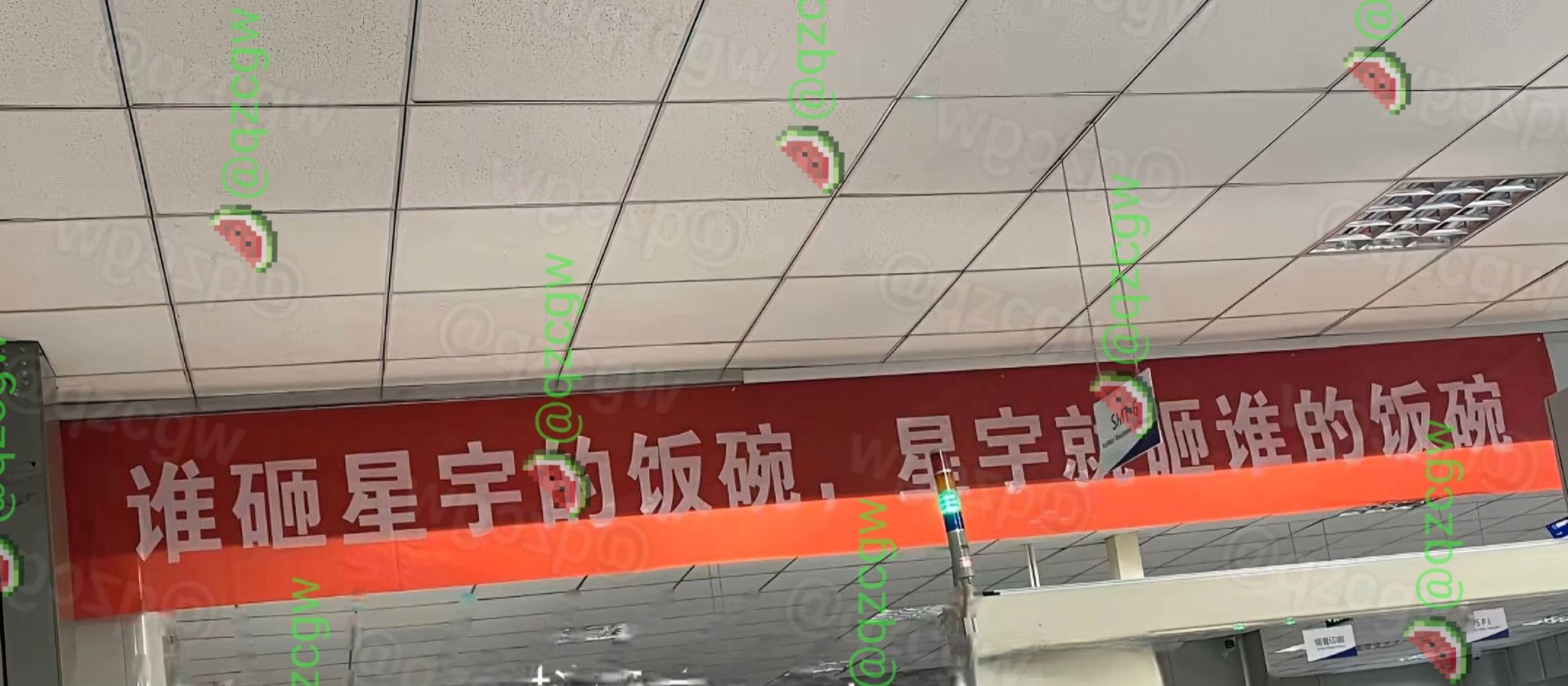 星宇股份批量劝退百名硕士应届生被举报至港交所及欧盟客户