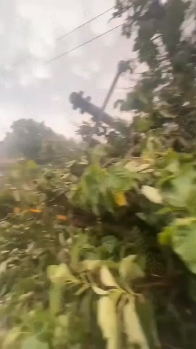 陕西西安突发强对流天气伴随龙卷狂风导致树木折断与车辆移位