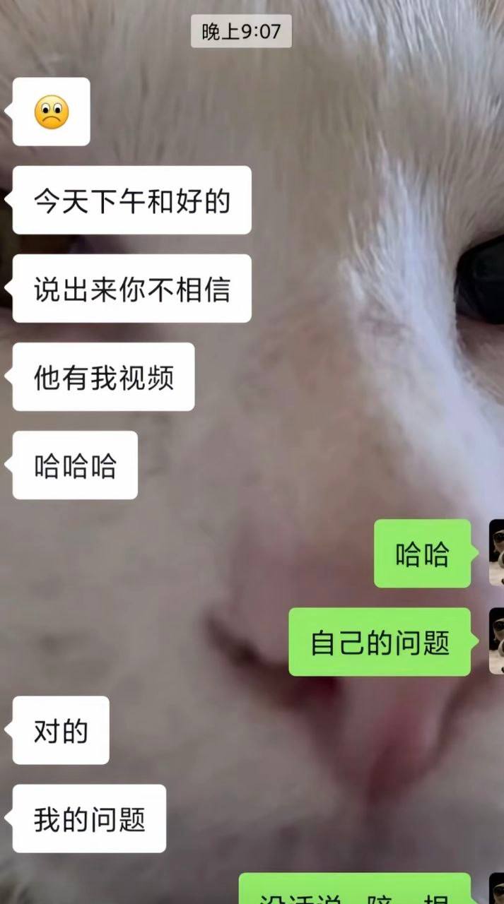 海归高管王某雷因组织偷拍女性视频牟利被判处有期徒刑十一年