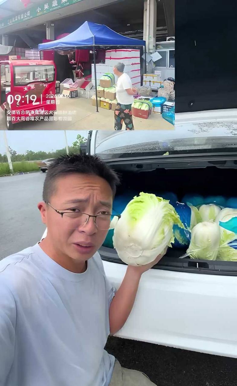 环保博主渔猎齐哥曝光张家口康保白菜根部使用甲醛溶液保鲜过程