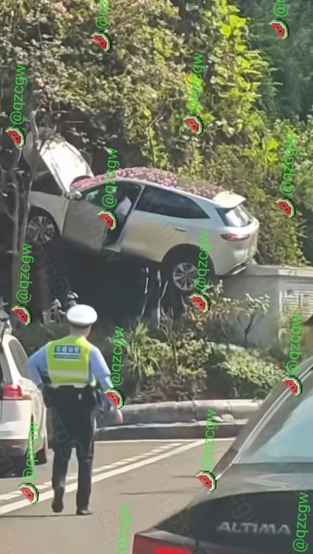 重庆一辆白色新能源SUV失控冲出路面斜挂在绿植树丛中