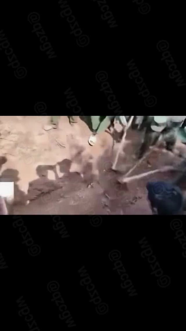 缅甸泥坑惊现多具僵硬尸体被制服人员持杆挖掘现场画面流出