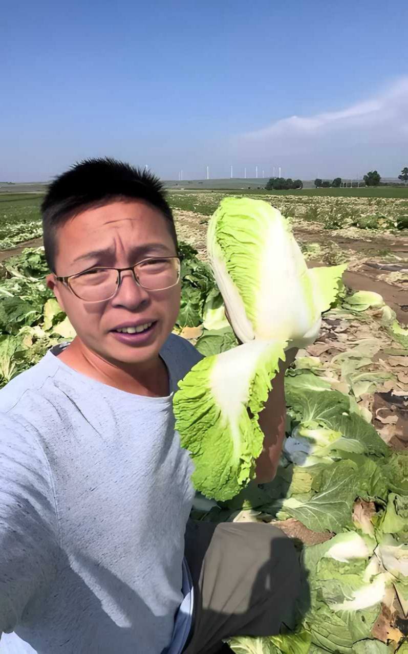 环保博主渔猎齐哥曝光张家口康保白菜根部使用甲醛溶液保鲜过程