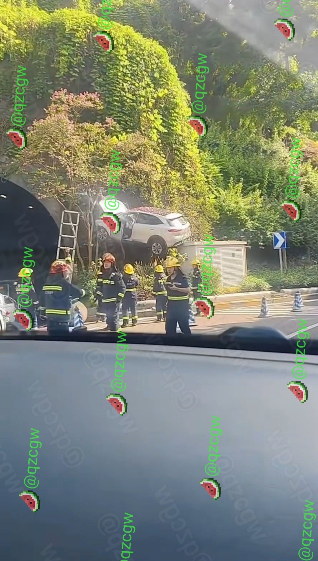 重庆一辆白色新能源SUV失控冲出路面斜挂在绿植树丛中
