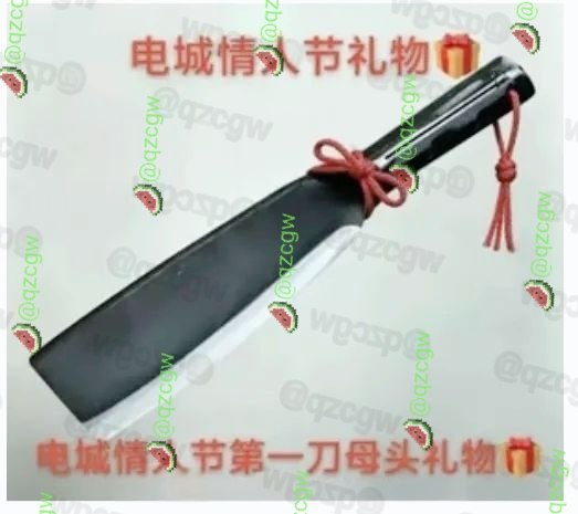 广东茂名电白男子因彩礼纠纷及妻子出轨当街持刀残忍杀害妻子