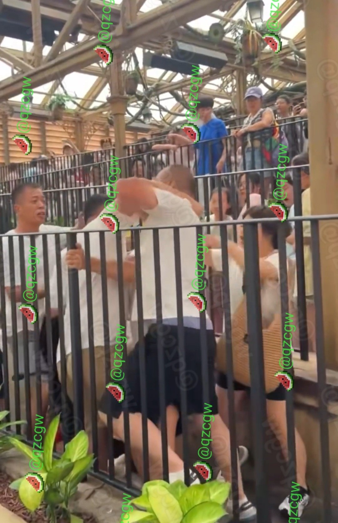 北京环球影城排队秩序引发冲突两拨游客隔着护栏激烈推搡挥拳互殴