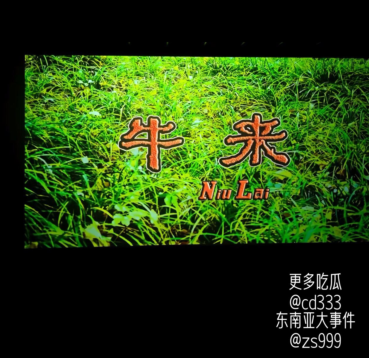 母子档耗时五年打造水墨动画牛来因建模粗糙与画风反差引发全网玩梗
