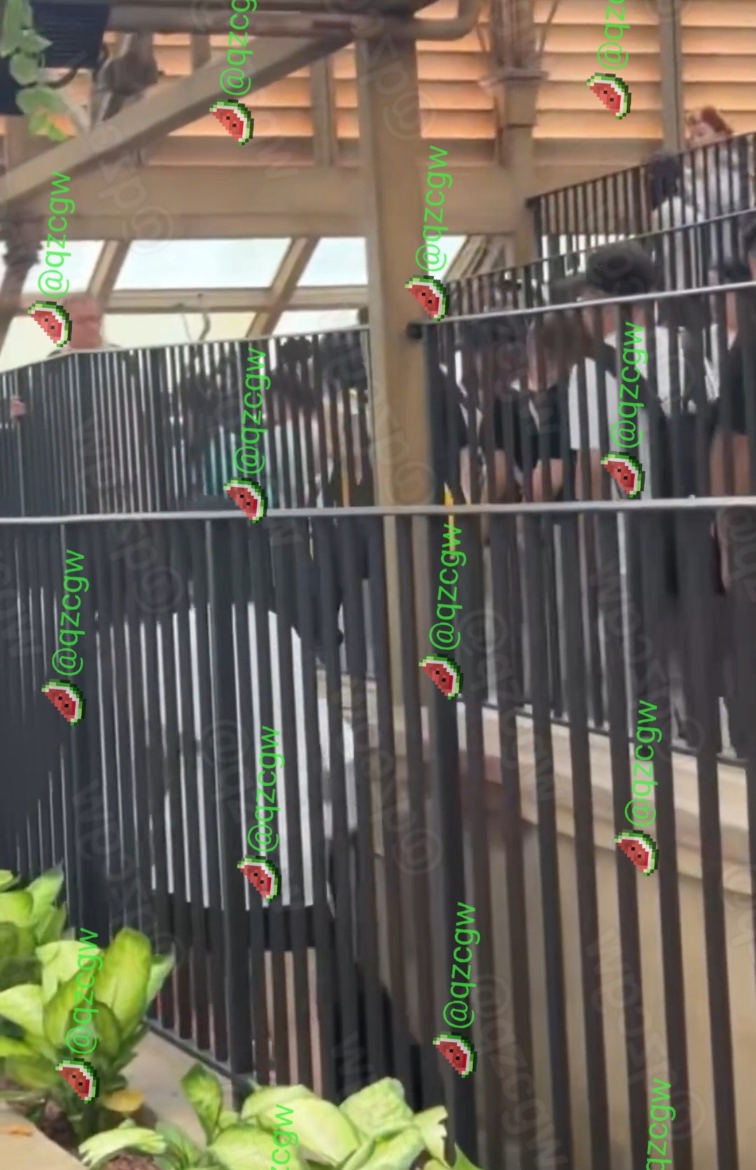 北京环球影城排队秩序引发冲突两拨游客隔着护栏激烈推搡挥拳互殴