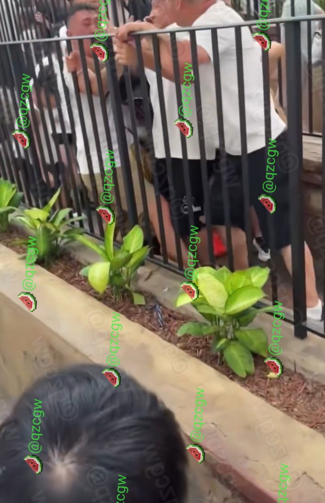 北京环球影城排队秩序引发冲突两拨游客隔着护栏激烈推搡挥拳互殴