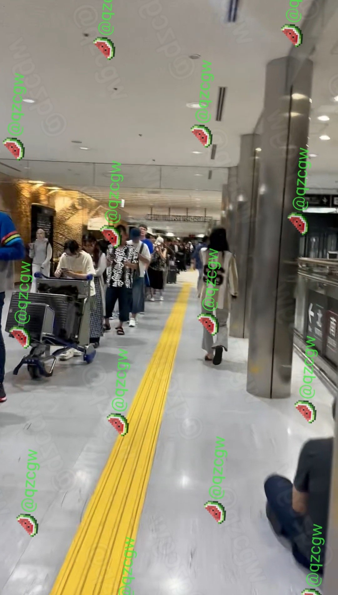 日本千叶暴雨导致成田机场交通全面中断七千名旅客滞留航站楼过夜