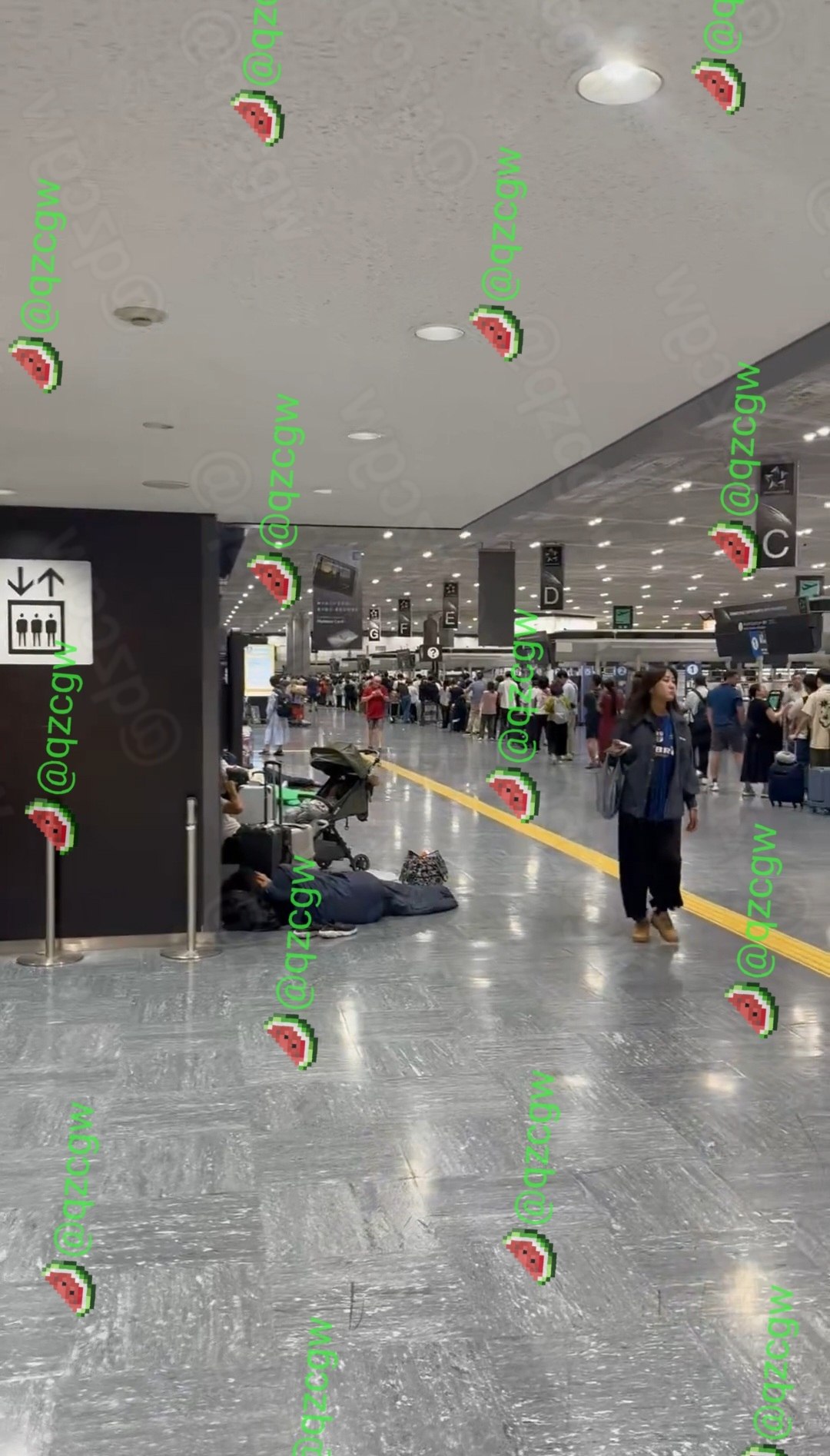 日本千叶暴雨导致成田机场交通全面中断七千名旅客滞留航站楼过夜