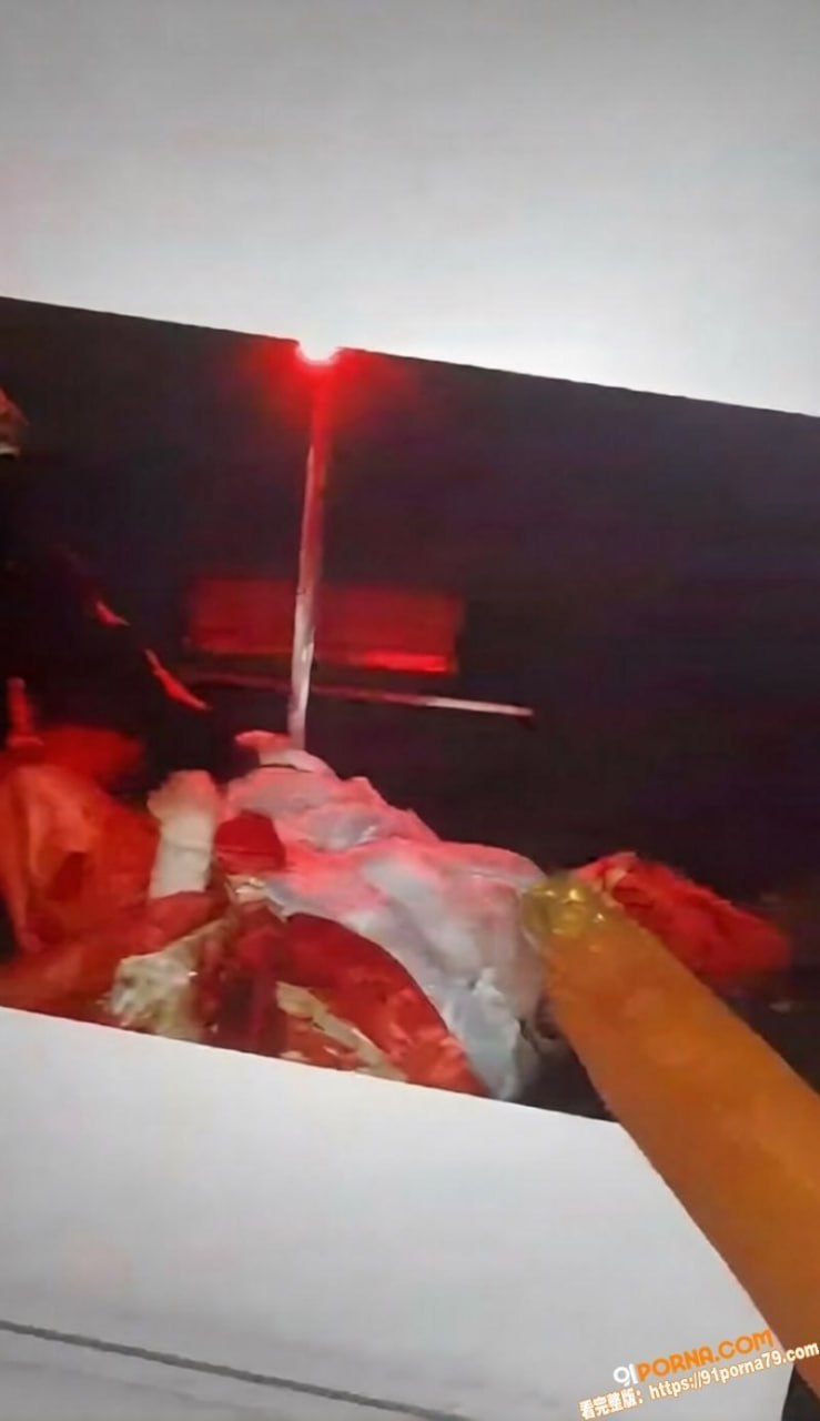沈阳有鲤剧本杀被曝男NPC强吻女顾客并进行贴身性暗示挑逗