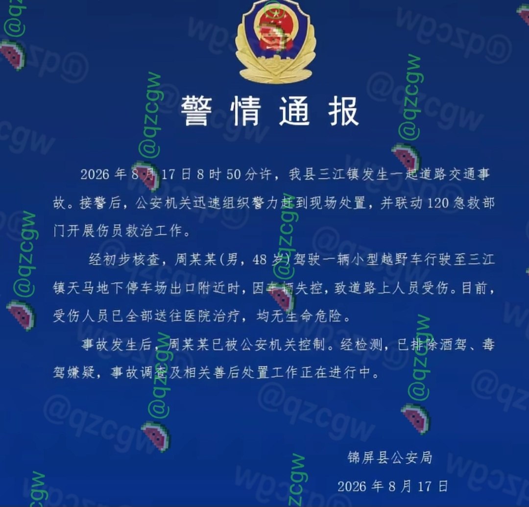 贵州锦屏县一男子驾驶越野车失控冲入农贸市场人群导致多人受伤